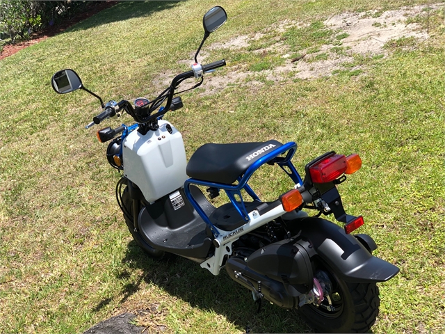 2022 Honda Ruckus | Powersports St. Augustine