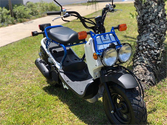 2022 Honda Ruckus | Powersports St. Augustine