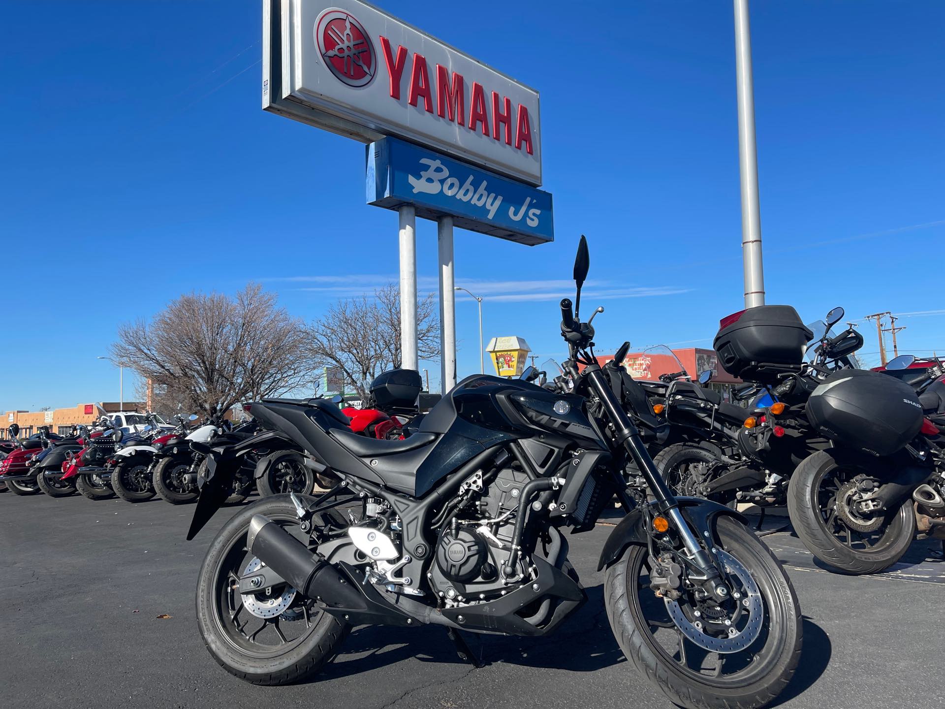 2020 Yamaha MT 03 at Bobby J's Yamaha, Albuquerque, NM 87110