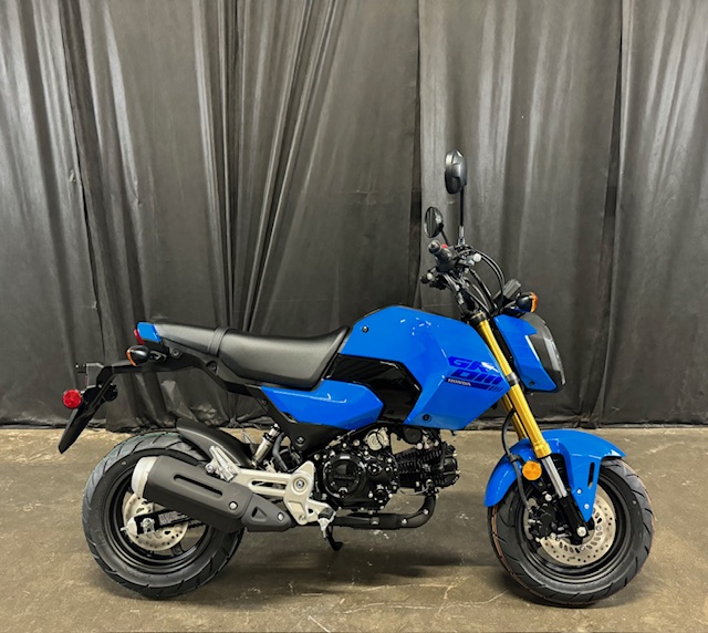 2025 Honda Grom Base at Powersports St. Augustine