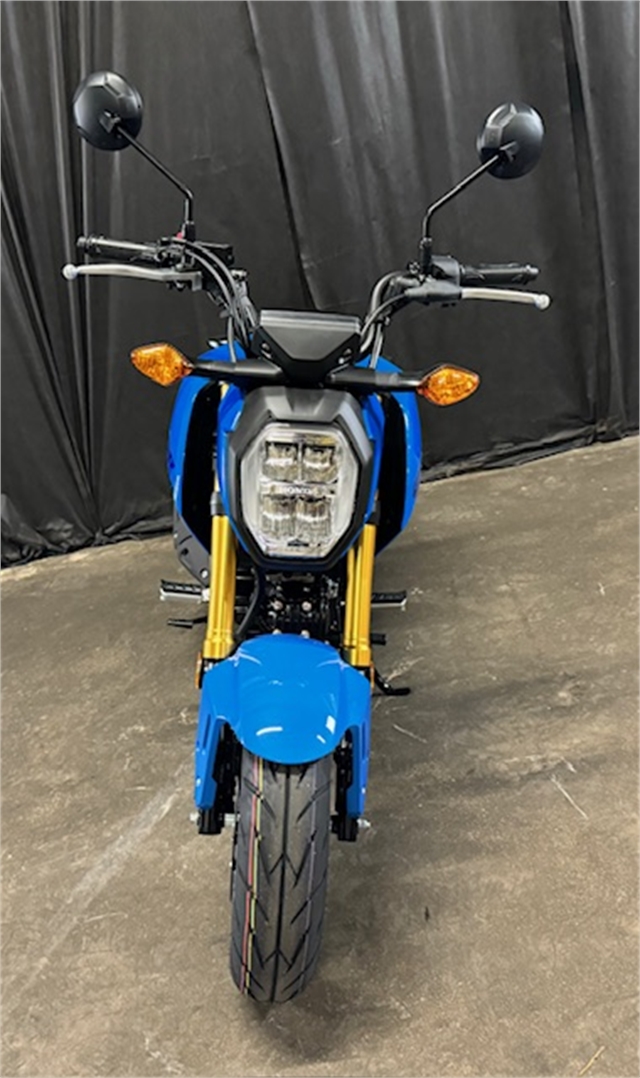 2025 Honda Grom Base at Powersports St. Augustine