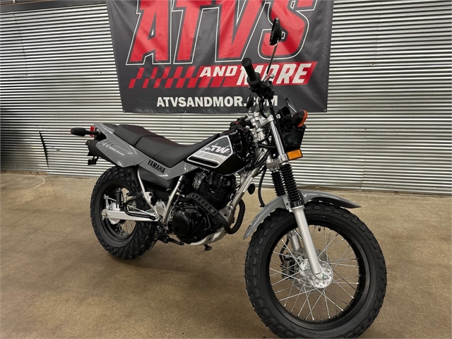 2024 Yamaha TW 200 at ATVs and More