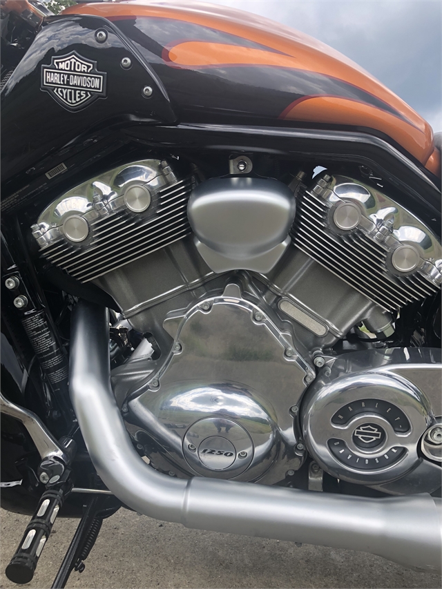 2014 Harley-Davidson V-Rod V-Rod Muscle at Harley-Davidson of Asheville