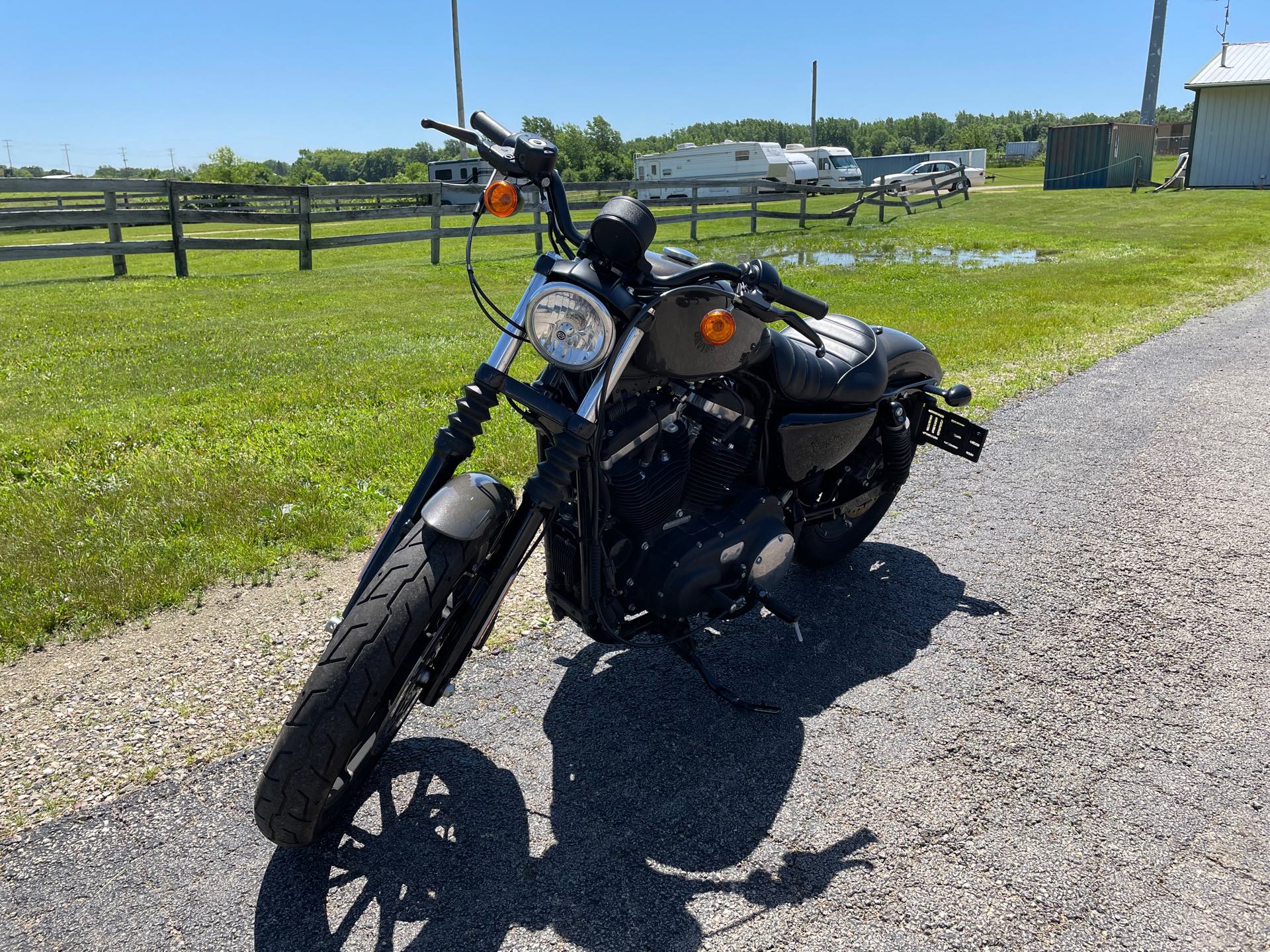 2019 Harley-Davidson Sportster Iron 883 at Randy's Cycle