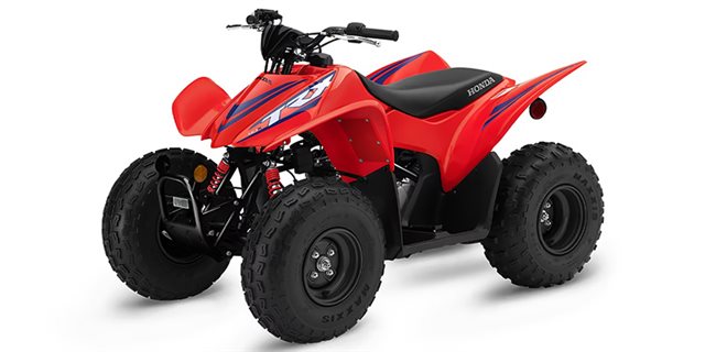 2024 Honda TRX 90X at Hodag Honda