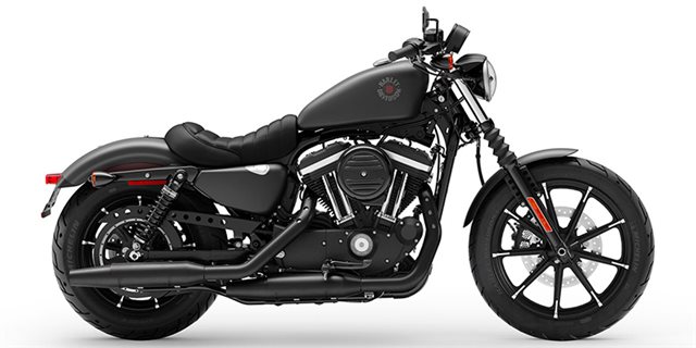 2019 Harley-Davidson Sportster Iron 883 at Buddy Stubbs Arizona Harley-Davidson
