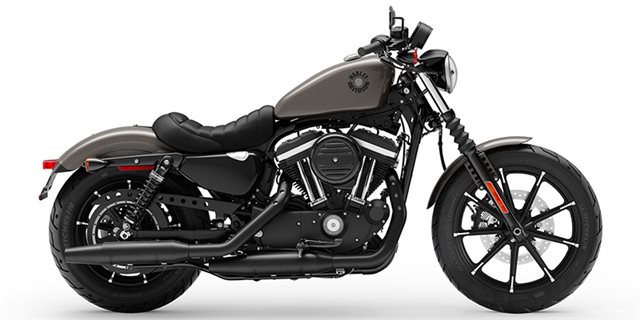 2019 Harley-Davidson Sportster Iron 883 at Buddy Stubbs Arizona Harley-Davidson