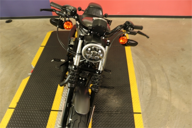 2017 Harley-Davidson Sportster Iron 883 at Texas Harley