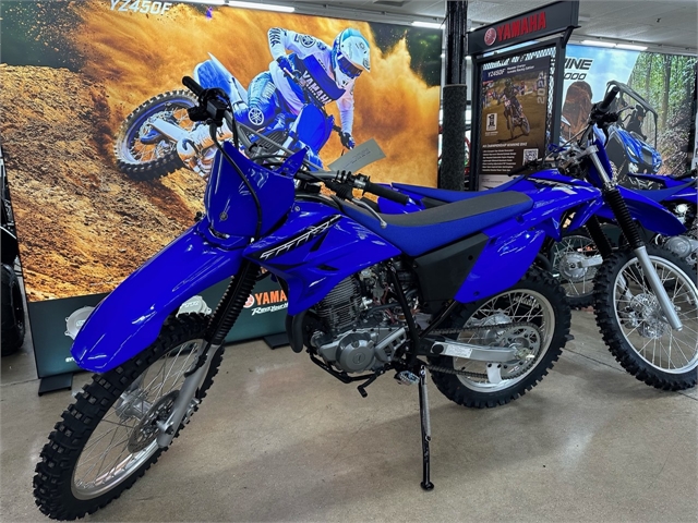 2023 Yamaha TT-R 230 at ATVs and More