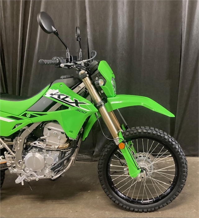 2025 Kawasaki KLX 300 at Powersports St. Augustine