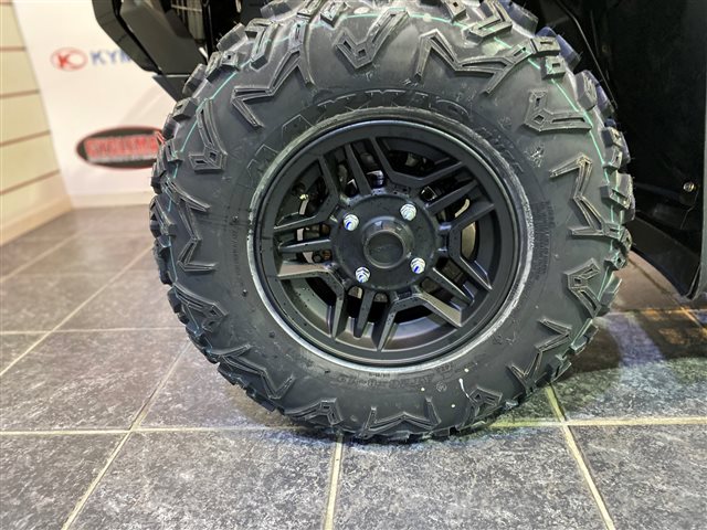 2025 Honda FourTrax Rubicon 700 4x4 Automatic at Cycle Max