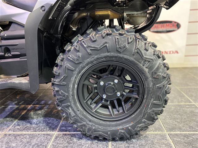 2025 Honda FourTrax Rubicon 700 4x4 Automatic at Cycle Max