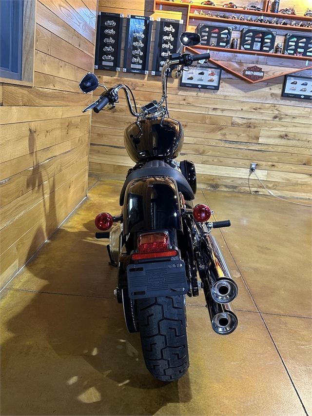 2024 Harley-Davidson Softail Standard at Thunder Road Harley-Davidson