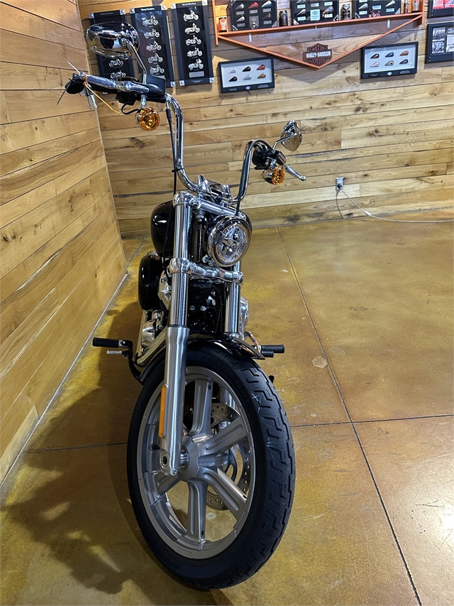 2024 Harley-Davidson Softail Standard at Thunder Road Harley-Davidson