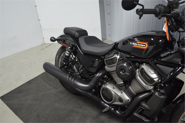 2023 Harley-Davidson Sportster Nightster Special at Suburban Motors Harley-Davidson