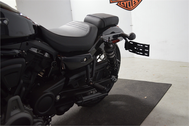 2023 Harley-Davidson Sportster Nightster Special at Suburban Motors Harley-Davidson