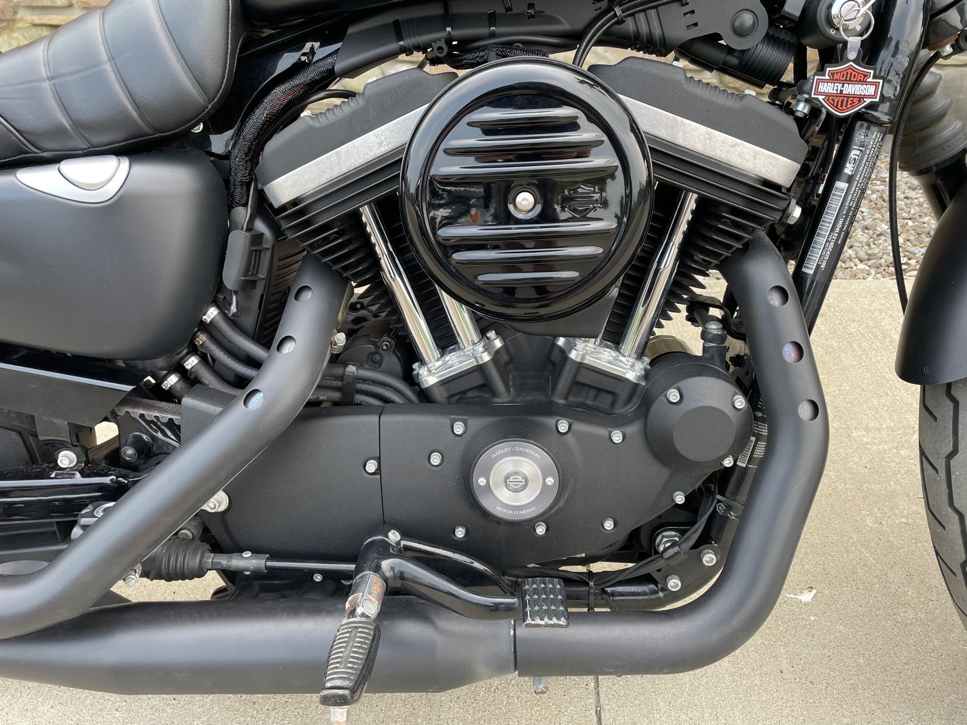 2016 Harley-Davidson Sportster Iron 883 at Arkport Cycles