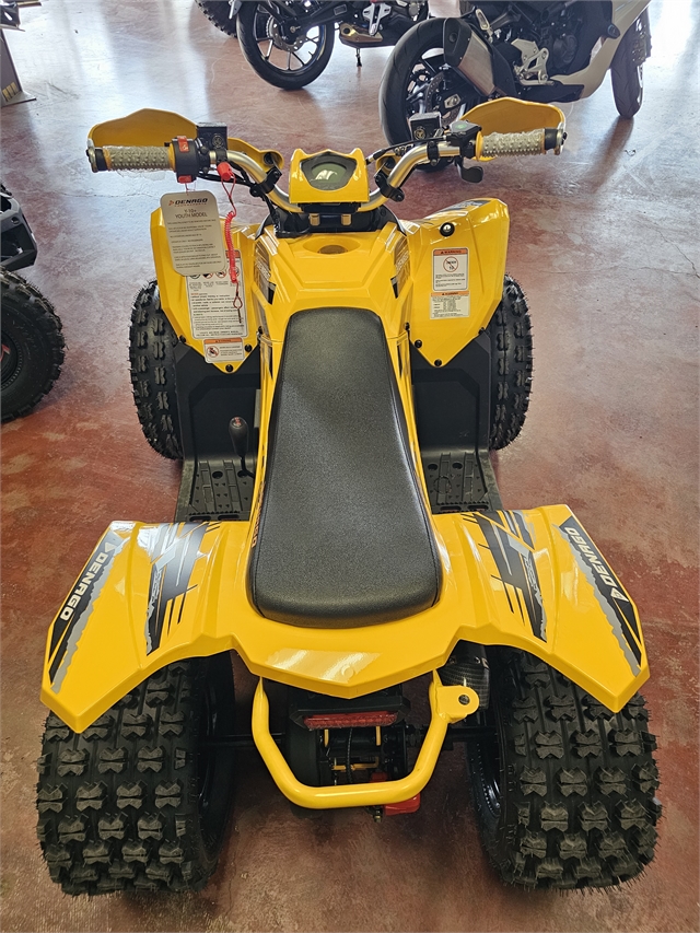 2024 Denago Trailhawk 10 125cc FI at Matt's ATV & Offroad