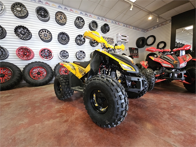 2024 Denago Trailhawk 10 125cc FI at Matt's ATV & Offroad