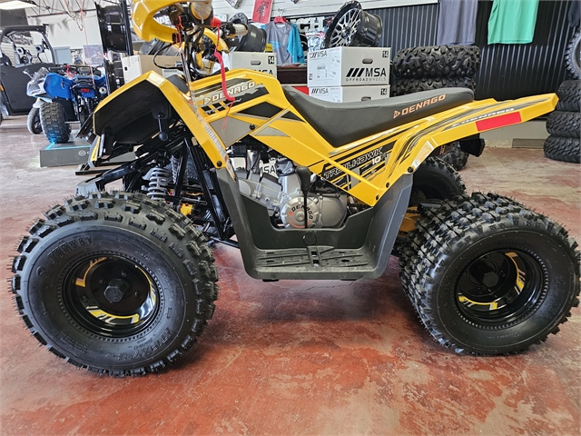 2024 Denago Trailhawk 10 125cc FI at Matt's ATV & Offroad