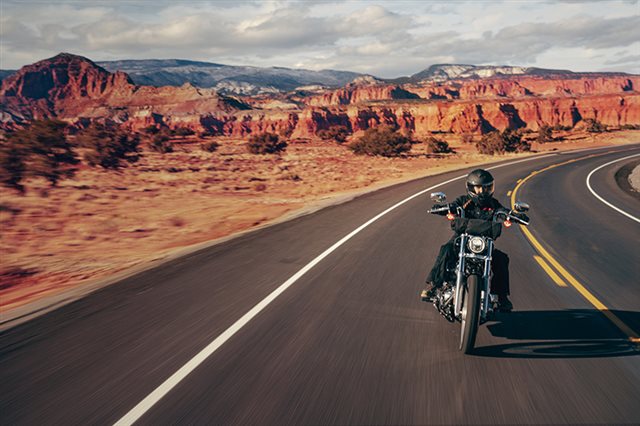 2024 Harley-Davidson Softail Standard at Palm Springs Harley-Davidson®