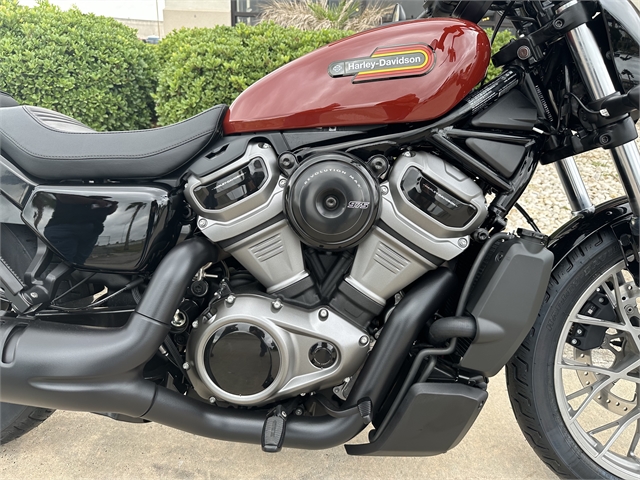 2024 Harley-Davidson Sportster Nightster Special at Corpus Christi Harley-Davidson