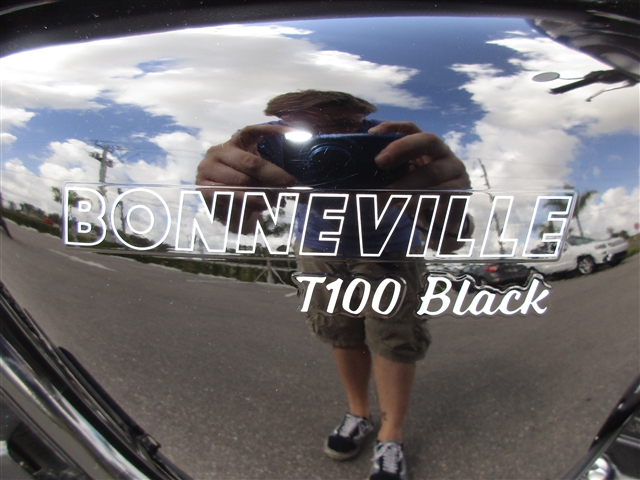 2019 Triumph Bonneville T100 Black at Fort Myers