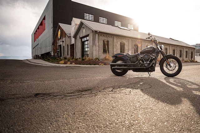 2019 Harley-Davidson Softail Street Bob at Wild West Motoplex