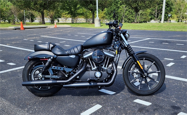 2021 Harley-Davidson Iron 883' at All American Harley-Davidson, Hughesville, MD 20637
