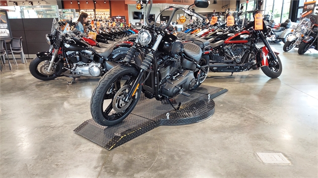 2024 Harley-Davidson Softail Street Bob 114 at Keystone Harley-Davidson