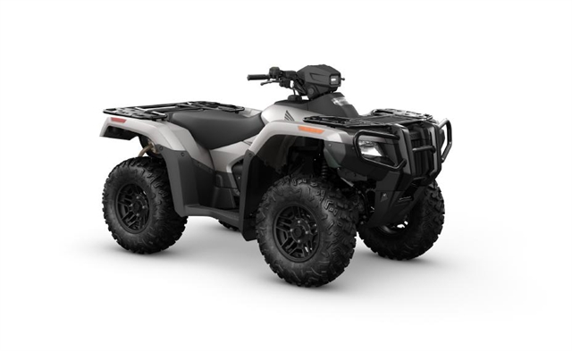 2024 Honda FourTrax Foreman Rubicon 4x4 Automatic DCT at Arkport Cycles