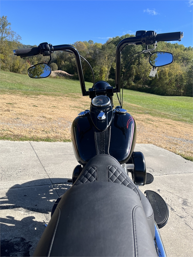 harley davidson softail cross bones