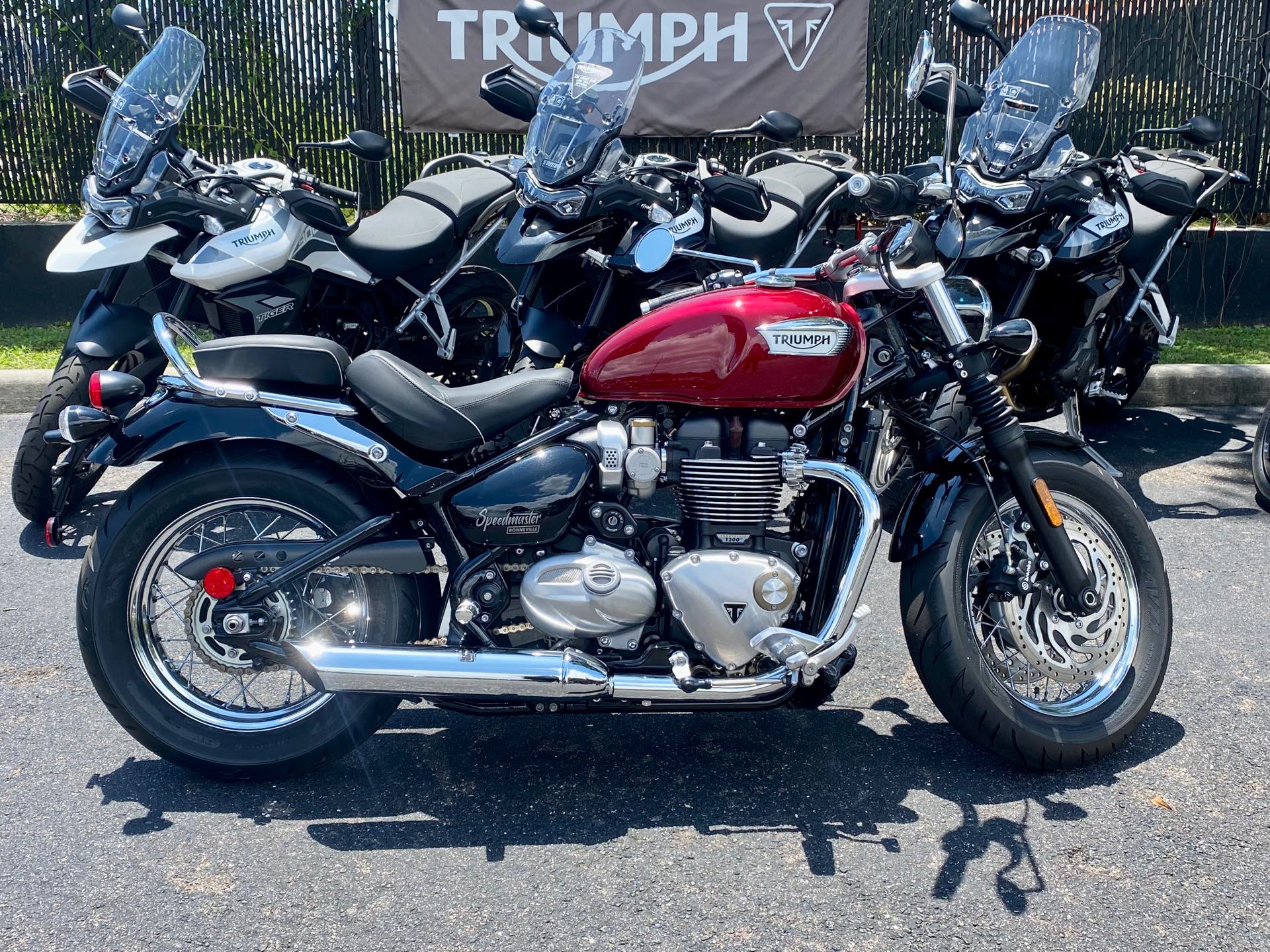 Triumph 2024 bonneville 300