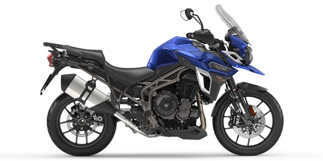 2017 Triumph Tiger Explorer XRx Low at Martin Moto