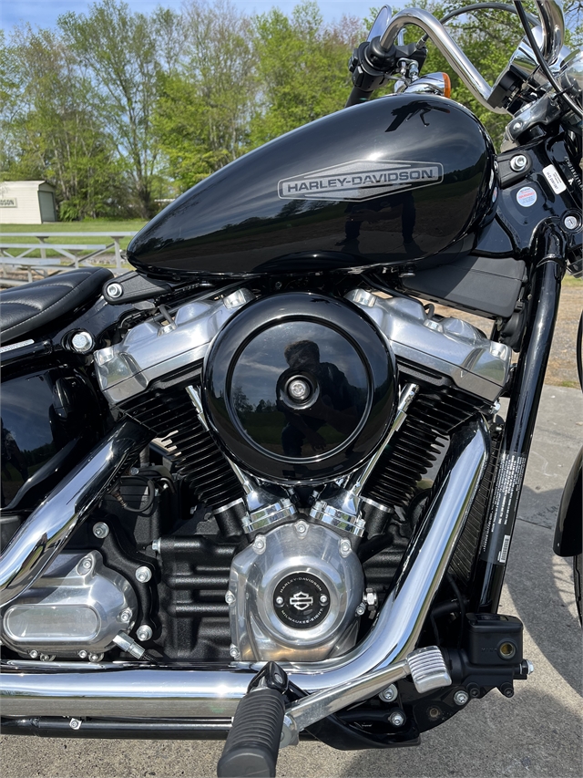 2020 Harley-Davidson Softail Standard at Harley-Davidson of Asheville