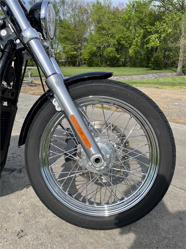 2020 Harley-Davidson Softail Standard at Harley-Davidson of Asheville