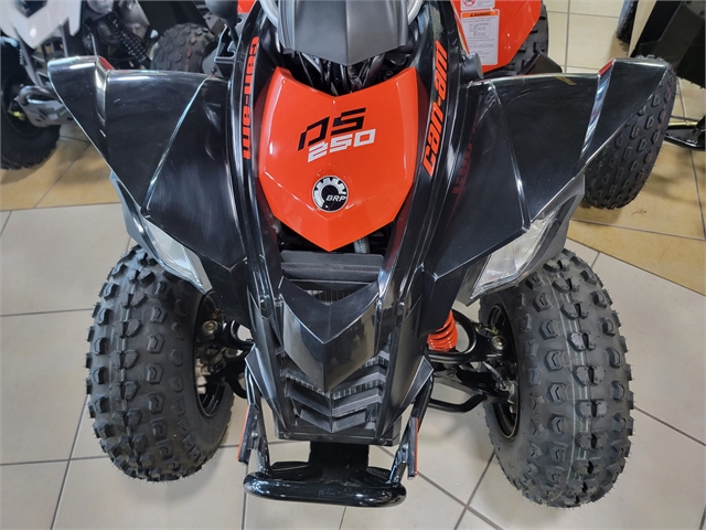 2022 Can-Am DS 250 at Sun Sports Cycle & Watercraft, Inc.