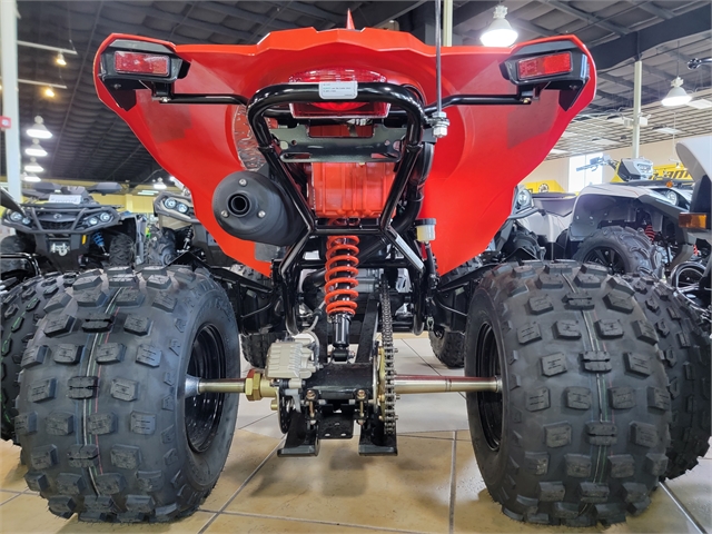 2022 Can-Am DS 250 at Sun Sports Cycle & Watercraft, Inc.