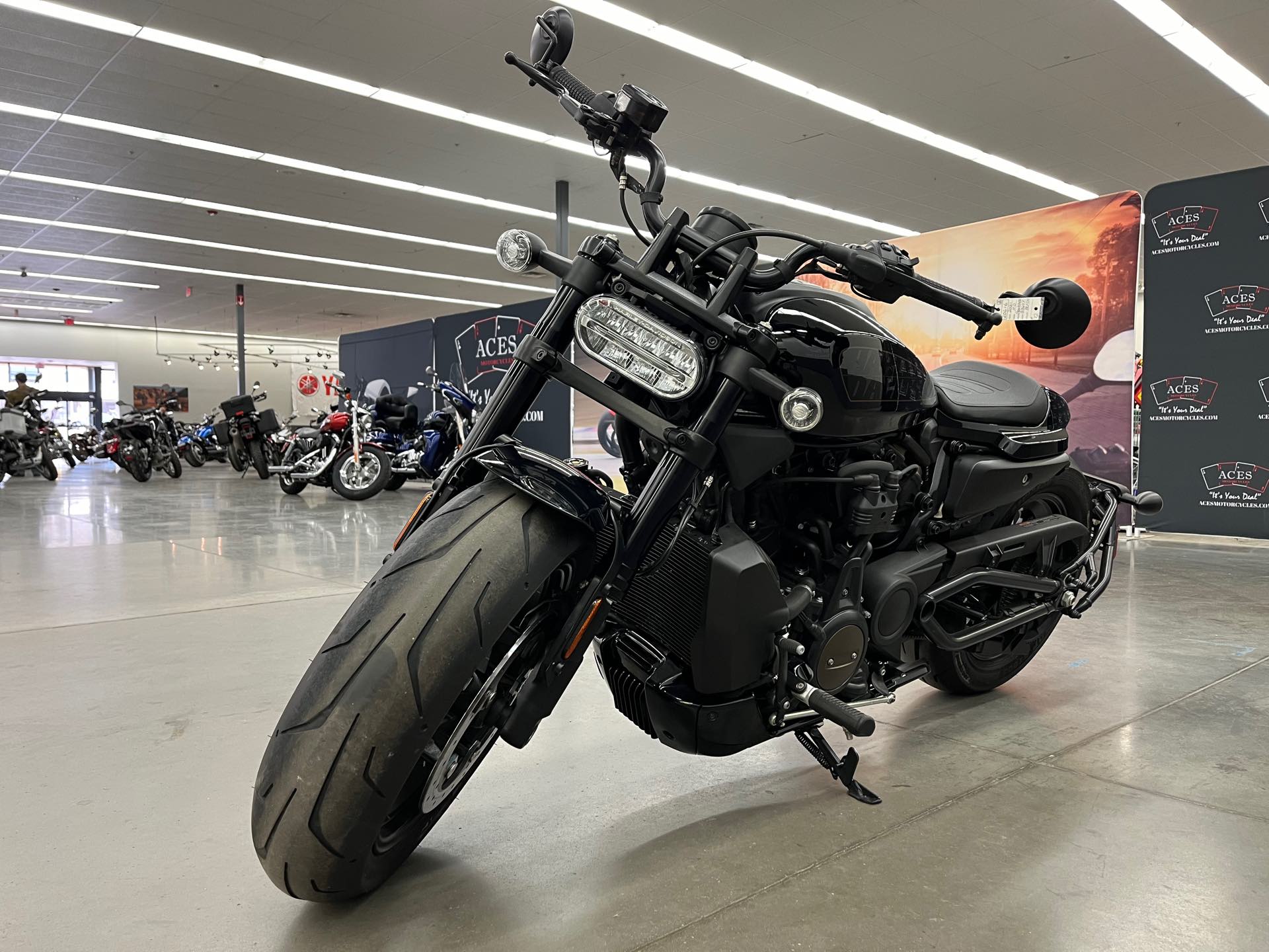 2021 Harley-Davidson Sportster at Aces Motorcycles - Denver