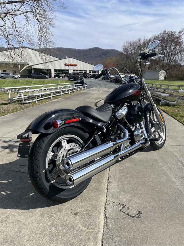 2024 Harley-Davidson Softail Standard at Harley-Davidson of Asheville