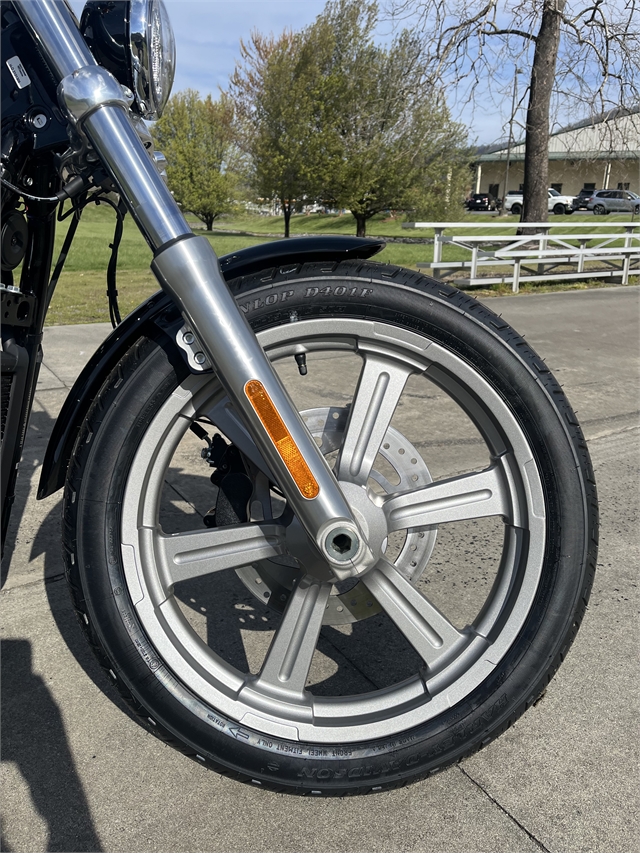 2024 Harley-Davidson Softail Standard at Harley-Davidson of Asheville