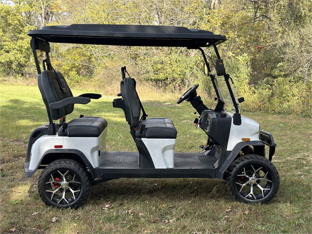 2024 Denago ROVER XL at ATVs and More