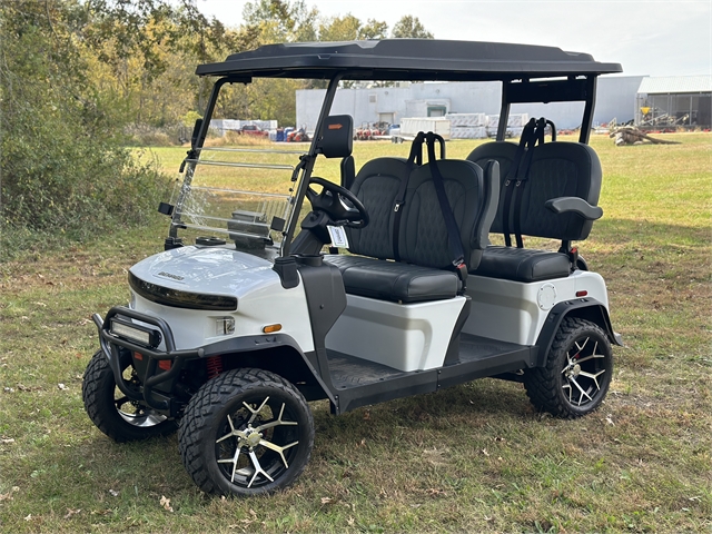 2024 Denago ROVER XL at ATVs and More