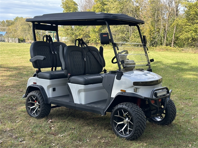 2024 Denago ROVER XL at ATVs and More