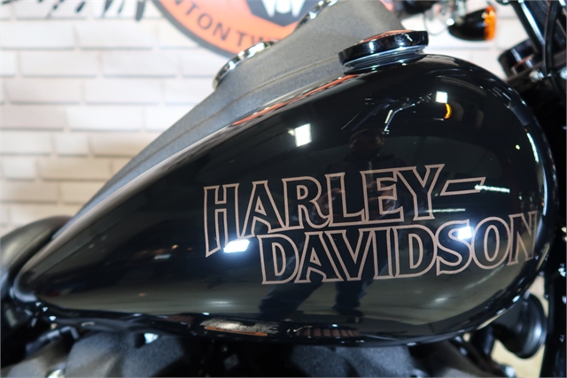 2021 Harley-Davidson Cruiser Low Rider S at Wolverine Harley-Davidson