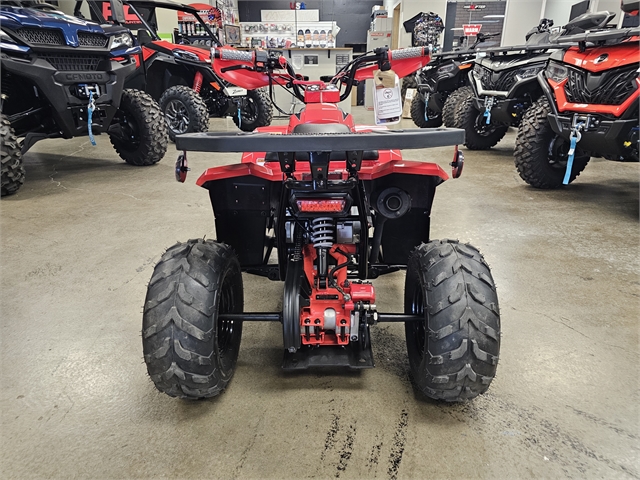 2024 Denago Mudhawk 6 110cc FI at Matt's ATV & Offroad