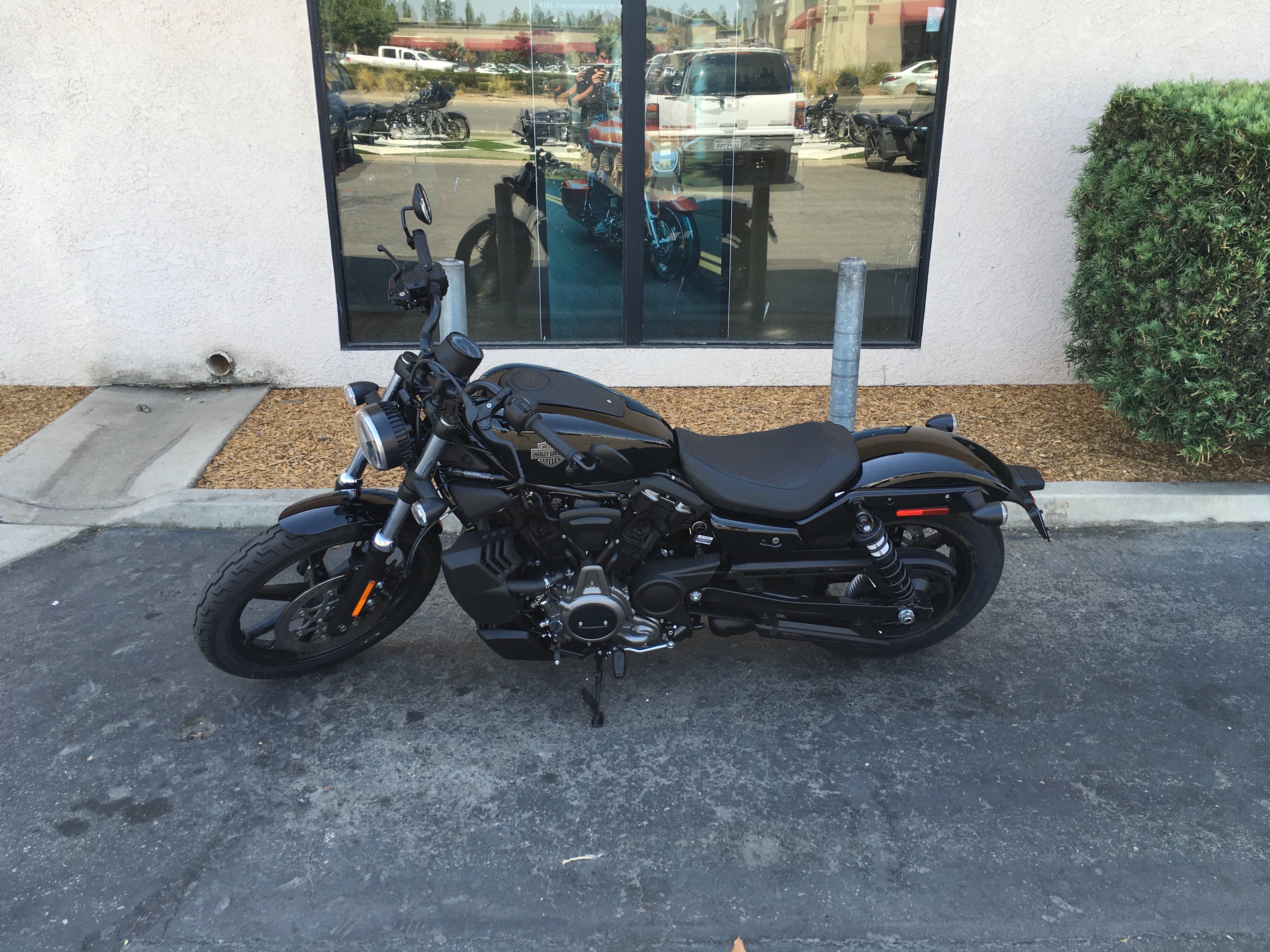 2024 Harley-Davidson Sportster Nightster at Fresno Harley-Davidson