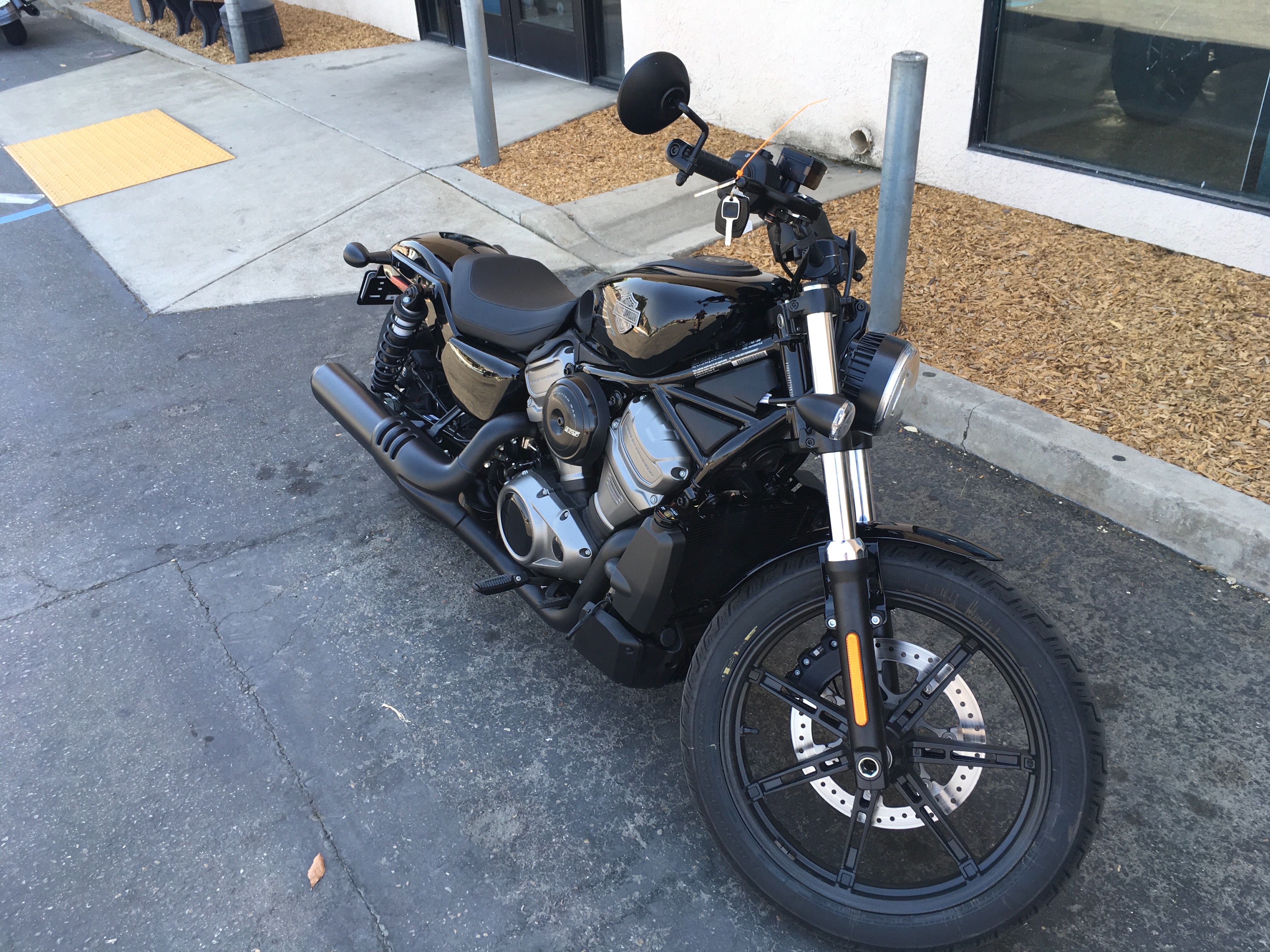 2024 Harley-Davidson Sportster Nightster at Fresno Harley-Davidson