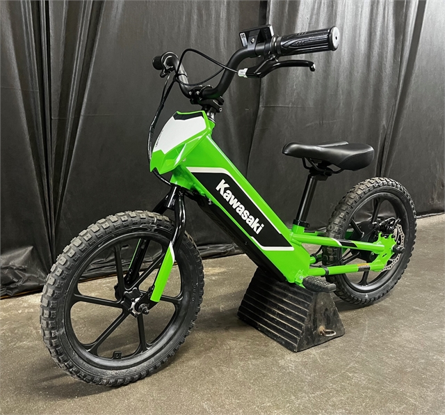 2023 Kawasaki Elektrode at Powersports St. Augustine