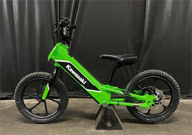 2023 Kawasaki Elektrode at Powersports St. Augustine